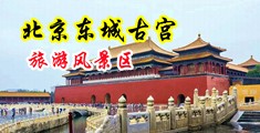性感美女骚比流水啊啊啊啊啊啊啊啊中国北京-东城古宫旅游风景区