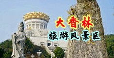 骚逼射视频中国浙江-绍兴大香林旅游风景区